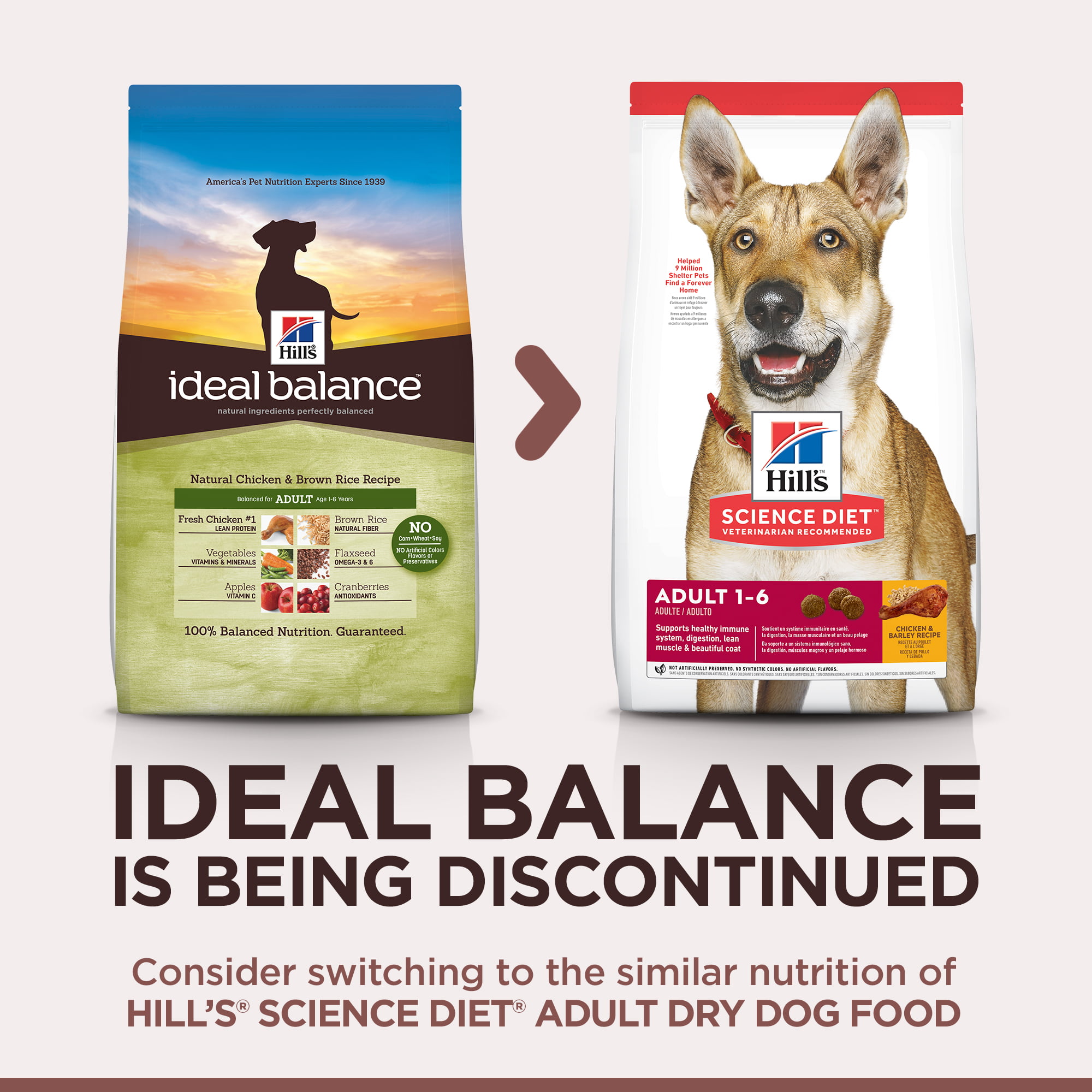 ideal balance dog food