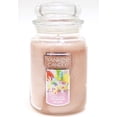 thumbnail image 4 of Yankee Candle Rainbow Shake Large Classic Jar 22 Ounce Candle, 4 of 4