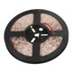 thumbnail image 3 of Impermeable 5050 Flexible Led Grow Strip Light Rojo Y Azul 5: 1 Acuario Invernadero Planta Hidropónica Creciente Cinta Lámpara 60Led / M 1M / 2M / 3M / 4M / 5M Kearding HA024176-00, 3 of 5