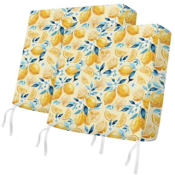Outdoor Patio Cushion Covers 2 Pack Summer Lemon Chair Cushion Seat Pads with Ties & Zipper Waterproof Fruit Blue Leaves Flower Chair Slipcovers for Outdoor Furniture Couch Sofa 20x18 Inch