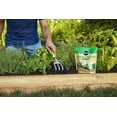 thumbnail image 4 of Miracle-Gro Raised Bed Plant Food, 2-Pound, 4 of 5