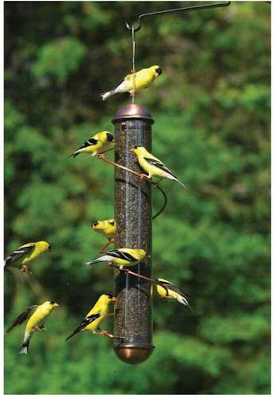 American Goldfinch Thistle / Nyger Bird Feeders 2 extra long size Set of two 