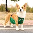 thumbnail image 4 of Pet Harness, Dog Protection Vest Anti-cool Frog Chest Belly Protector Harness Breathable Waterproof For Corgi (m, Female) Female Medium, 4 of 5