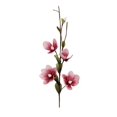 thumbnail image 1 of Marshall Home & Garden Tige avec Fleurs Roses Tiges Brunes, 39′′H x 9′′W, 1 of 1