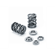 Supertech Valve Spring Kit For Volkswagen/Audi 1.8T 20V 4cyl Dual | SPRK-AUDI18T
