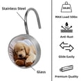 thumbnail image 5 of HemaKayy 12 Pcs Shower Curtain Hooks Bathroom Decorative Accessories Cute Puppy Sleeping, 5 of 8