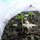 thumbnail image 3 of Manta antiheladas para protección de plantas, cubierta de jardín de tela no tejida, 1,6x9m blanco, protector transpirable contra el frío para verduras y frutas, aislamiento de cultivos reutilizable, 3 of 7