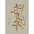 thumbnail image 2 of Cooke, E.W. 18x24 Gold Ornate Wood Framed with Double Matting Museum Art Print Titled - Botanical Cabinet VII, 2 of 4