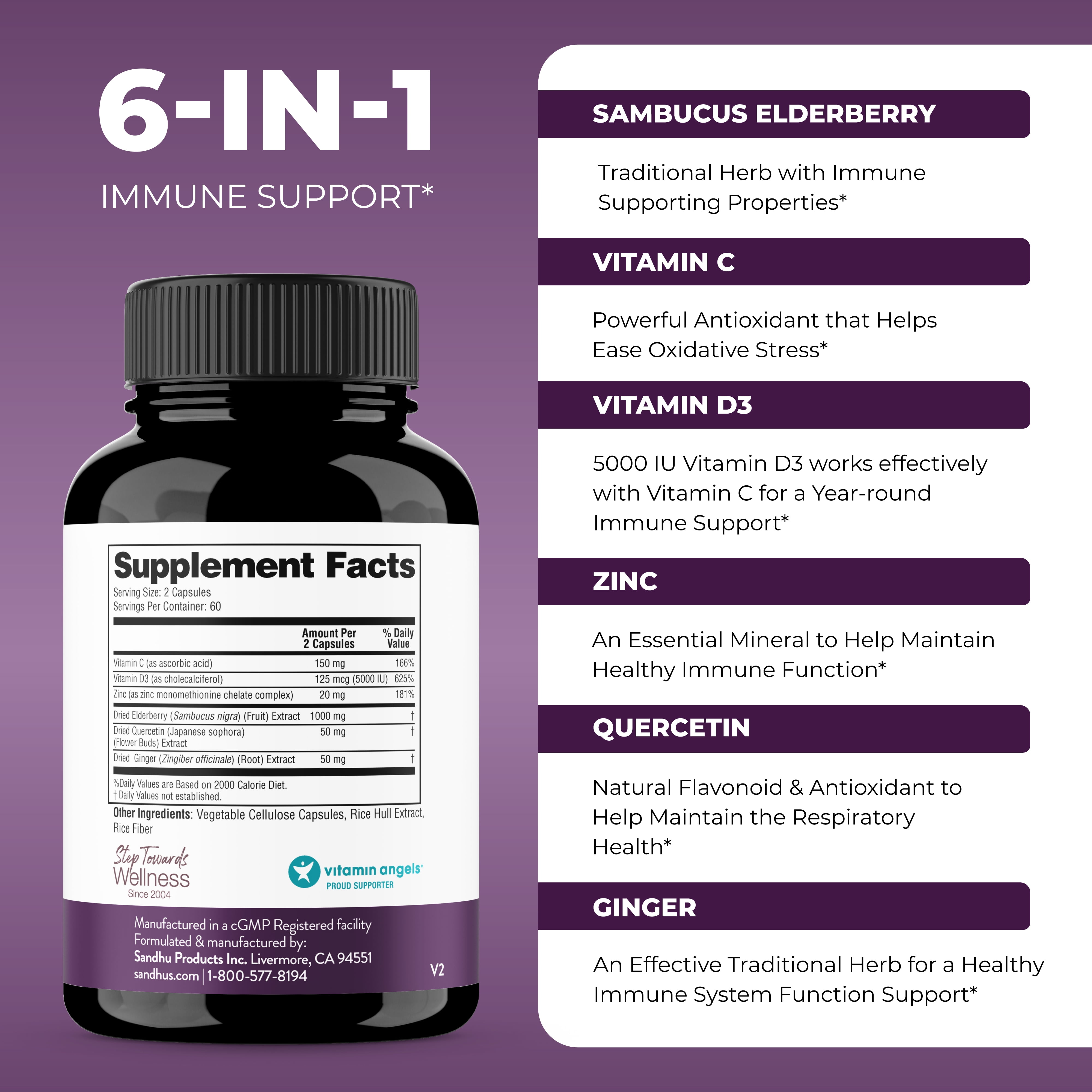 Elderberry Vitamin C and Zinc Capsules for Adults | 120 Count with Quercetin & Vitamin D3 | 6-in-1 Immune Support Supplement Pills | Sambucus Black Elderberry Natural Immunity Vitamins | Made in USA