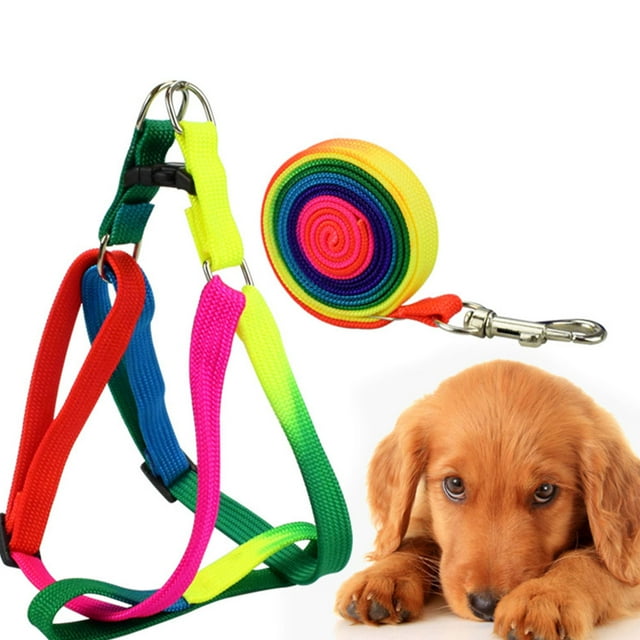 Minkissy 2Pcs Pet Supplies Nylon Traction Rope for Outside Walks and Use 47.2x0.8x0.4 Inch