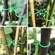 thumbnail image 5 of El clip de hebilla en forma de 8 se utiliza para el clip de jardín de plantas y el clip de soporte para plantas se utiliza para fijar plantas., 5 of 7