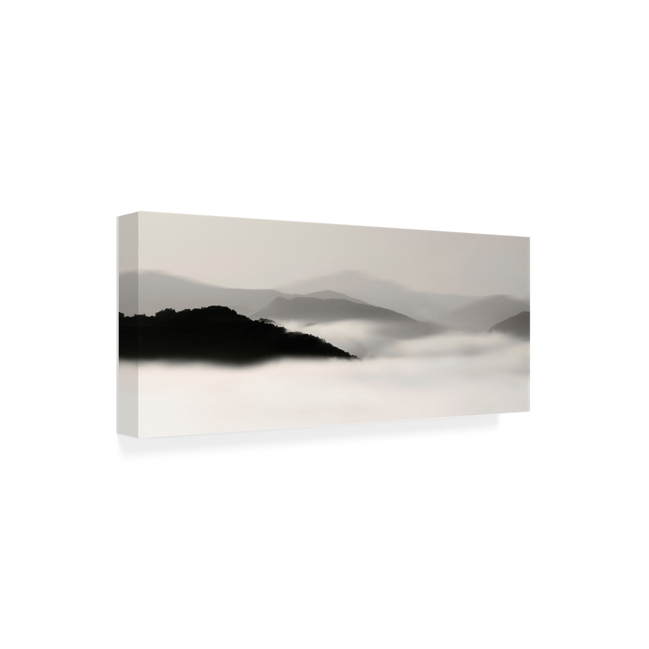 Canvas Wall Art - Nicholas Bell 'Mountain Fog No. 2' Wall Art for Living Room, Bedroom, or Office Décor by Trademark Fine Art - 32 x 14 Inches