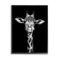 thumbnail image 2 of Stupell Industries Greyscale Zebra Stripes Detailed Photography Portrait White Framed Art Print Wall Art, 16x20, by Incado, 2 of 5
