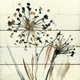 thumbnail image 3 of Robinson, Carol 15x15 Black Modern Framed Museum Art Print Titled - Natures Lace II, 3 of 5