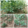 thumbnail image 6 of 24Pcs Garden Vegetables Stakes For Plant Cage Support Tomato Cage For Vertical Climbing Plants For 11mm Stake, 6 of 6