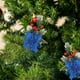 thumbnail image 4 of Navidad Pinos Redos Frutas Flores Árboles Pendientes Props Decoración Bocas Artesanía, Pinos Redos Frutas, Pendants Navideños, Accesorios de Fiesta, para Decoración de Hogar, Plegables,, 4 of 9