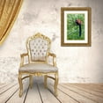 thumbnail image 3 of Richardson, Larry 23x32 Gold Ornate Wood Framed with Double Matting Museum Art Print Titled - Red-ruffed lemur seeks refuge in a tree, 3 of 4