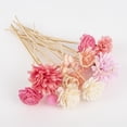 thumbnail image 7 of 15Pcs Red Simulation Flowers Reed Diffuser Replacement Sticks DIY Handmade Home Decor Rattan Oil Diffuser Refill Sticks, 7 of 7