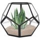 thumbnail image 1 of Terrario geométrico de mesa, 7,8 x 7,8 x 6,5 pulgadas, metal con contenedor de terrario para suculentas de vidrio, macetero de aire, joyería, decoración de boda, caja de cartón con flores, portavelas, 1 of 6