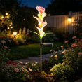 thumbnail image 4 of Artificial Callas Solar Garden Stake Lights Multicolor Changing Outdoor Lawns Flower Landscapes Decorative Pathways Lamp, 4 of 6