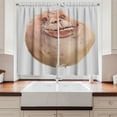 thumbnail image 2 of Ambesonne Humor Kitchen Curtains, Forever Alone Meme, 55"x45", Tan and Peach, 2 of 3