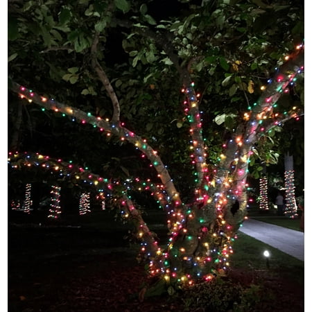 Liteup100 Solar String Lights Multicolor Liteup100 Solar String Lights Multicolor