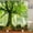 ndhd8535, variant on Forest Landscape Shower Curtain Garden 3D Green Plant Tree Natural Scenery Waterproof Polyester Bathroom Curtain Home Decor