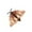 Gray Moth, variant on Twfbrm RC Bug Remote Control Worm Realistic Moth Electronic Animal Toys Fake Insect Car Vehicle Kids Birthday Gifts Trickster Spoof Halloween Prank Children's Toys Christmas Gifts on Clearance