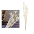 thumbnail image 3 of Centros de mesa de flores secas de 24'' Arreglo floral blanco, 3 of 9