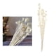 thumbnail image 3 of Ramo seco, rama de flores naturales para decoración de bodas blanco, 3 of 9