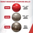 thumbnail image 6 of Lifeline Fitness Exercise Ball 75CM, 6 of 7