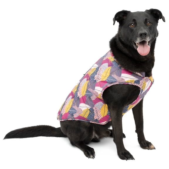 Kurgo Loft Dog Jacket, Reversible Dog Coat, Water Resistant, Reflective, Winter Coat For Small Dogs (Fall Festival, XS)