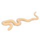 thumbnail image 4 of Rattlesnake Growth Cycle Model Life Cycle Model Cognition Children Educational Toys, 4 of 4