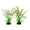 Green-wine, variant on Silk Aquarium Plants for Betta Fish Tank, 2 Pcs 8 Inch Small Silk Aquarium Plant Aquatic Water Grass Decoration,Purple-White