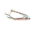 thumbnail image 3 of Southbend Range Harness,Cntl Wiring,115V/Sc/G 1179591 - Genuine OEM Replacement Part, 3 of 4