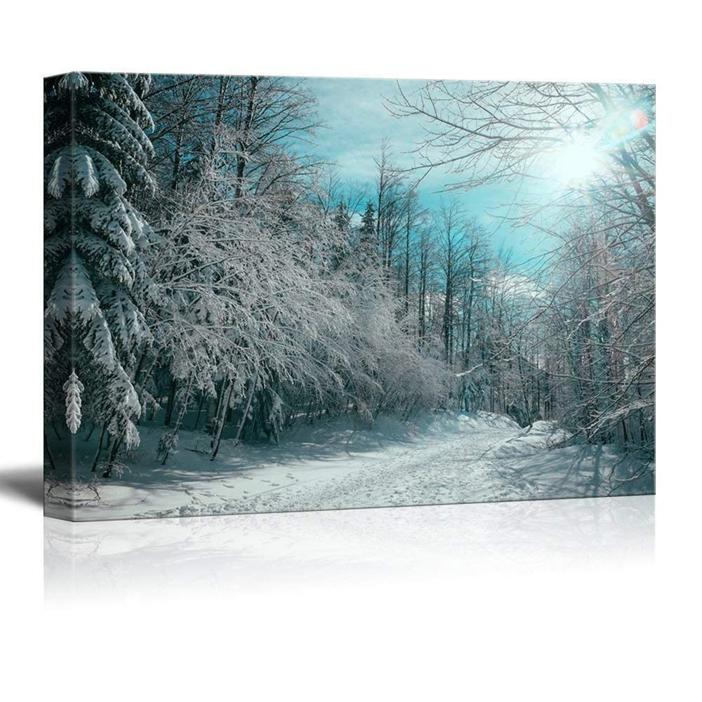 Path in Red Pine Forest Gallery 12" x 18" Canvas Art Wall Decor Wall26
