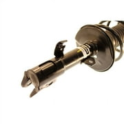 KYB Strut Plus Assembly Strut/Coil Spring Assy