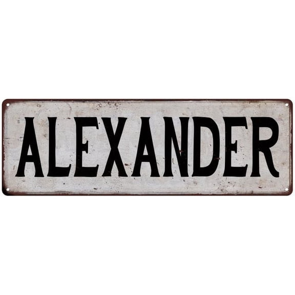 ALEXANDER Vintage Look Rustic Chic Metal Sign 6x18 106180036933