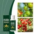 thumbnail image 4 of Premium Plant Nutrient Solution for Potted Flowers | Boost Flowering & Growth | Easy-to-Use Liquid Fertilizer for Indoor & Outdoor Plants | Balanced Nutrients for Vibrant Blooms & Healthy Roots, 4 of 5