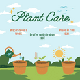 thumbnail image 5 of 2 Yellow Lantana Plants Live, Trailing Lantana Plant, Outdoor Growing, Well Rooted, 6 to 8 Inch, 5 of 5