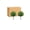 2pcs 65*45cm, variant on QinaQin Artificial Shaped Tree, with Ground Insert, Suitable for Indoor and Outdoor Decoration