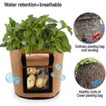 thumbnail image 2 of Paquete de 3 bolsas de cultivo de patatas, 7 galones de aireación, tela impermeable, maceta de patatas dulces, ventana de cosecha, caja de cultivo de maní vegetal, maceta para vivero G, 2 of 5