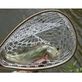 thumbnail image 3 of Fly Fishing Landing Net Trout Fishing Net, Soft Rubber Catch and Release Fish Net with Wooden Handle Frame, Gifts for Him, 3 of 5