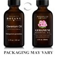 thumbnail image 4 of Aceite Esencial Geranio Brooklyn Botany Puro 30ml, 4 of 5