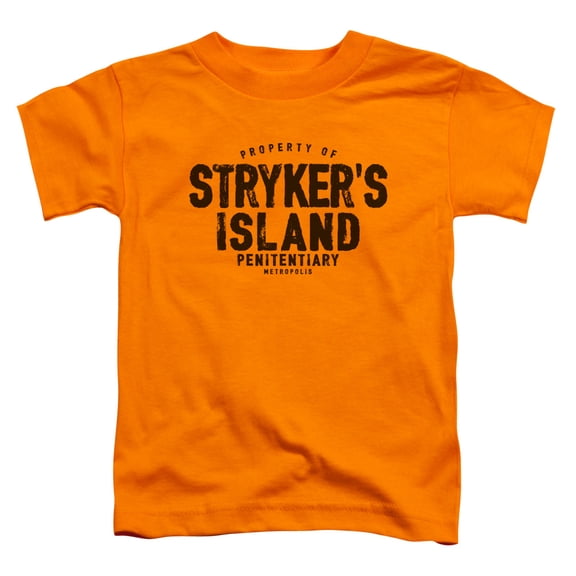 Superman - Strykers Island - Toddler Short Sleeve Shirt - 3T