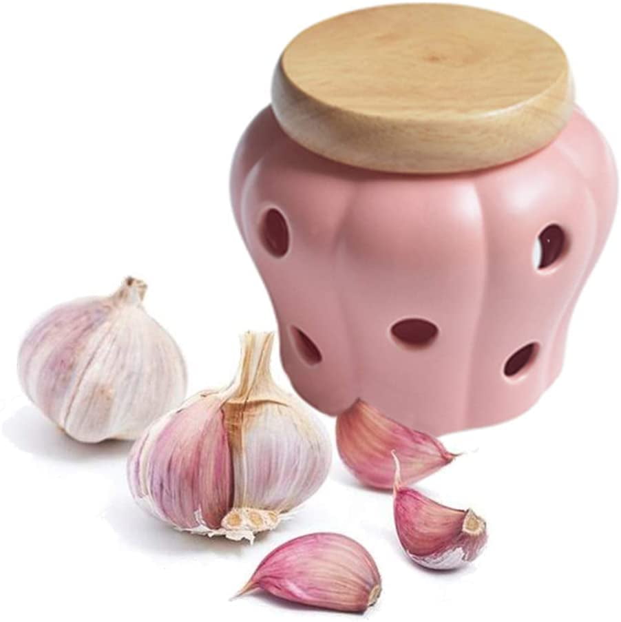 Boston Warehouse Ventilated Garlic Keeper Canister