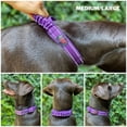 thumbnail image 3 of Collar para perro Tuff Pupper, resistente, con mango de nailon balístico, 3 of 9