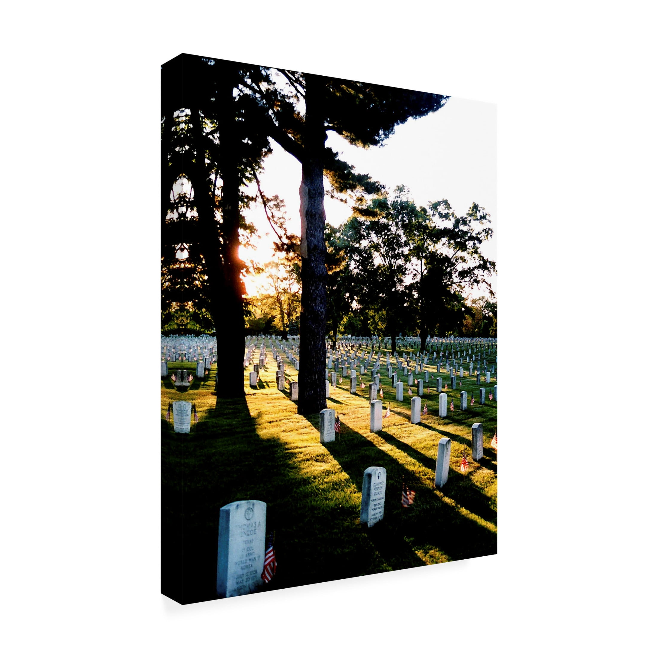 Canvas Wall Art - DANE 'Washington DC 46' Wall Art for Living Room, Bedroom, or Office Décor by Trademark Fine Art - 24 x 32 Inches