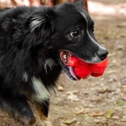 Chew King By Mammoth Happy Gorilla Durable All-Natural Rubber Dog Toy, Red, Large