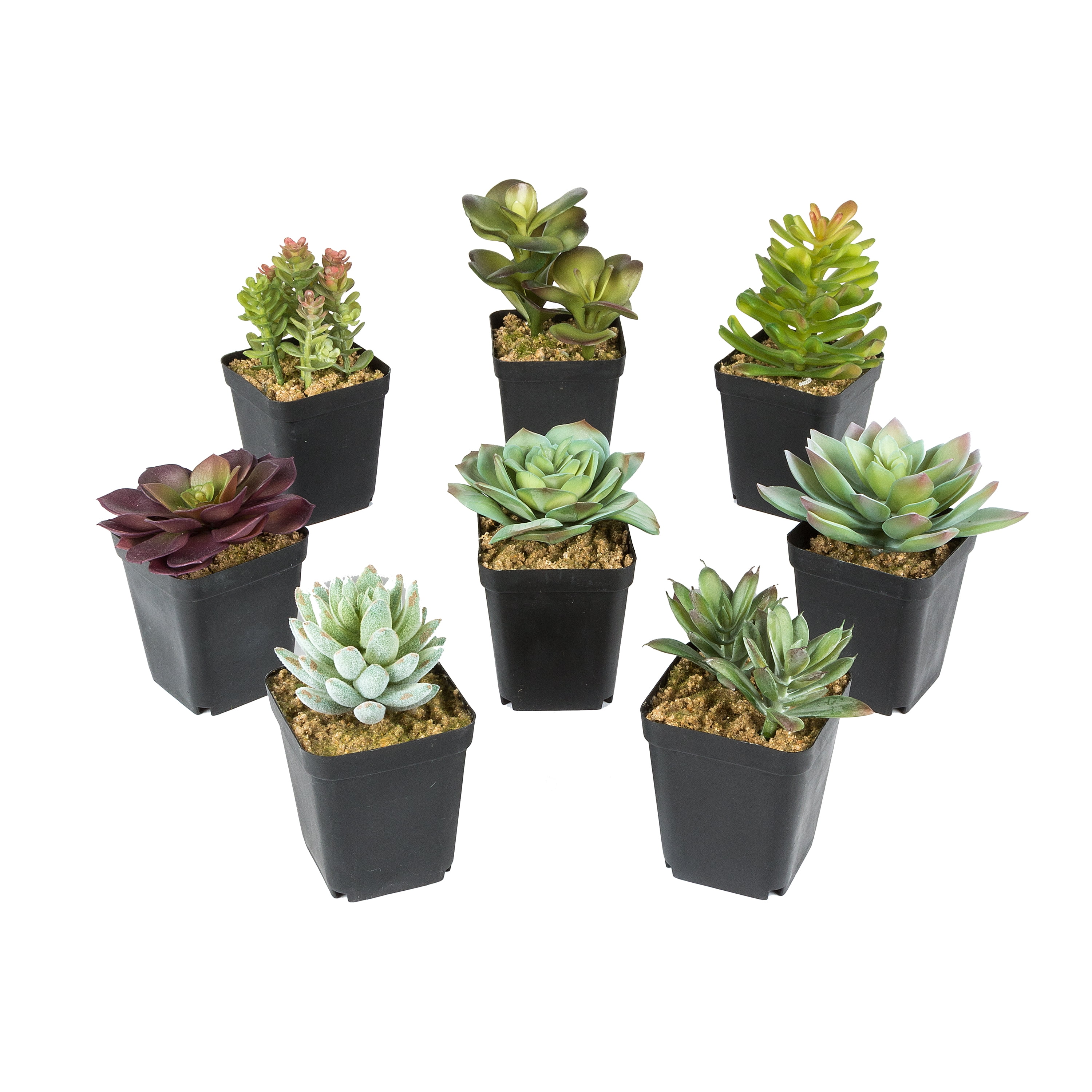 Gerson Assorted 5Inch Tall Artificial Mixed Succulent Plants (Set of 8